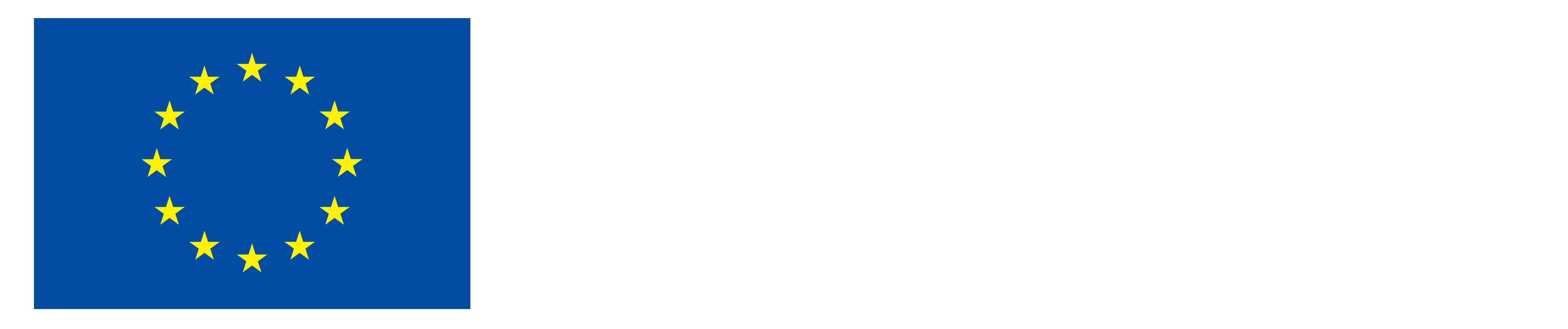 Co-funded by the EU